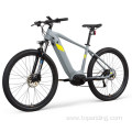 Customized electric bike all terrain